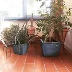 Cetta 산리온