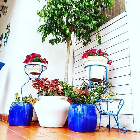Cetta Bed & Breakfast San Leone