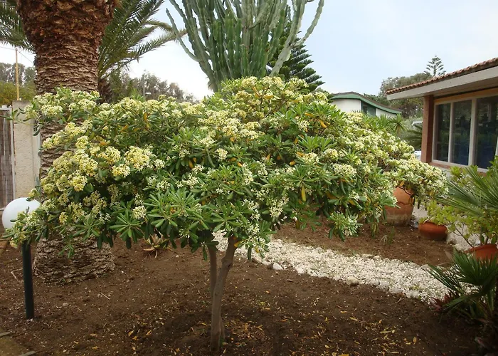 切塔别墅住宿加早餐旅馆 4* 圣莱昂