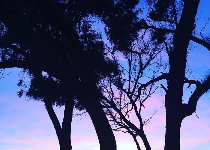 切塔别墅住宿加早餐旅馆 住宿加早餐酒店 4*