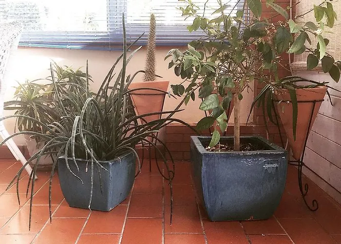 切塔别墅住宿加早餐旅馆 圣莱昂