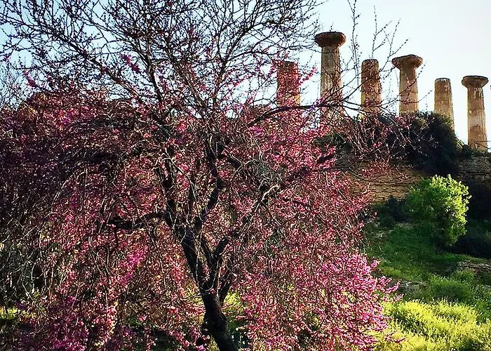 住宿加早餐酒店 切塔别墅住宿加早餐旅馆 4*
