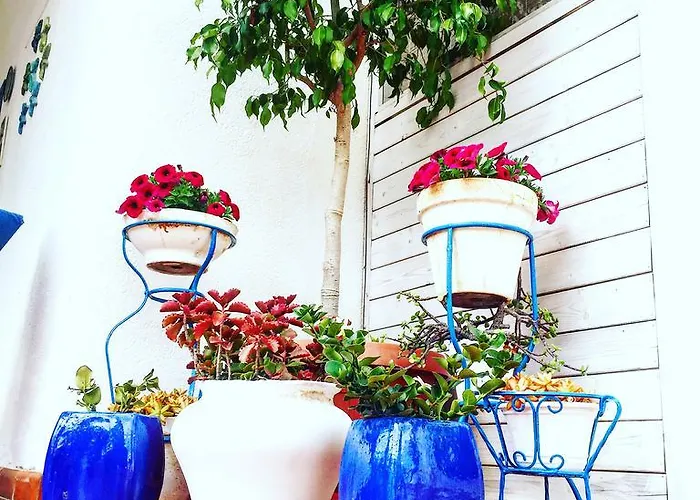 切塔别墅住宿加早餐旅馆 住宿加早餐酒店 圣莱昂