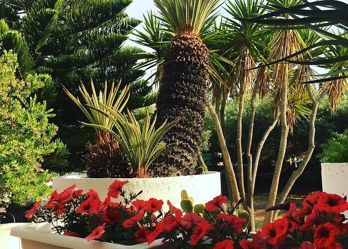 切塔别墅住宿加早餐旅馆 圣莱昂