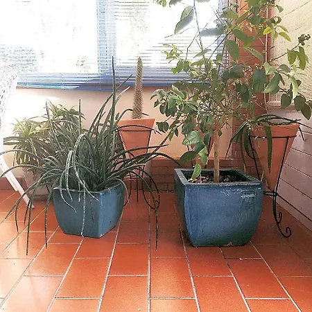 Cetta Couette-café 4*