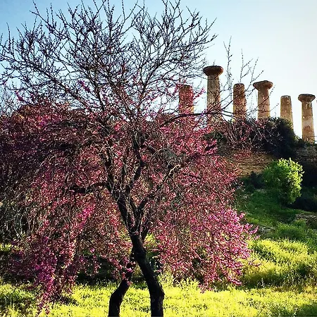 Frühstückspension Cetta 4*